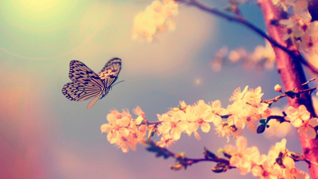 2025 l'année de la transformation